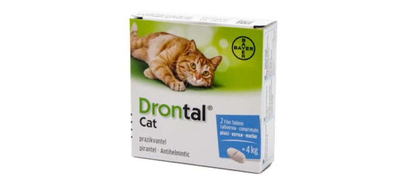 Cutie cu doua tablete antiparazitare Drontal pentru pisici de până la 10kg pe fundal alb
