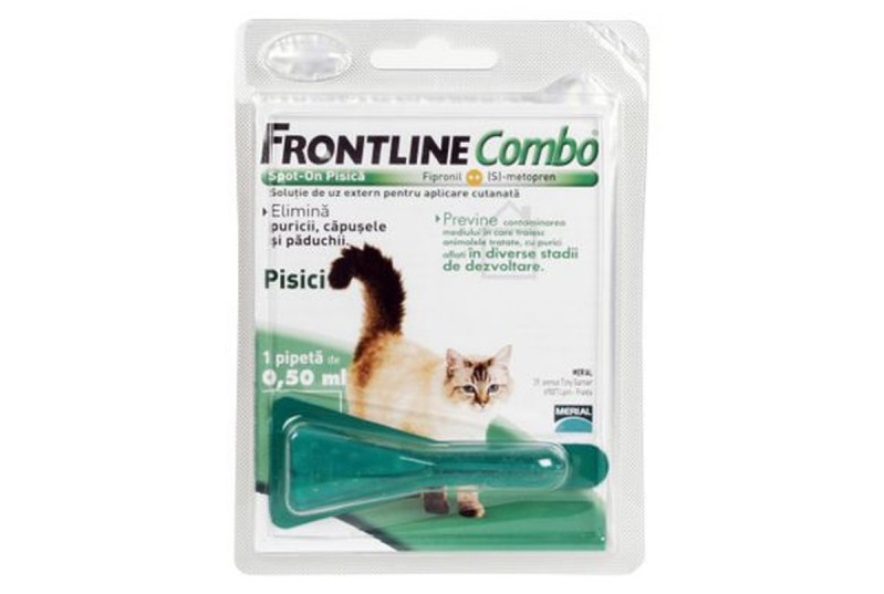 Cutie cu Frontline Combo pentru pisici, 1 pipeta, pe fundal alb