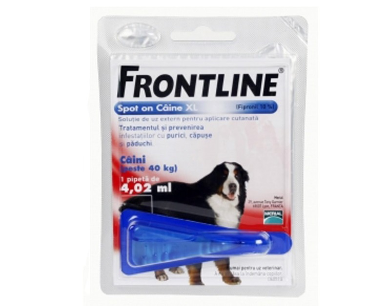 Cutie cu Frontline Spot-On pentru caini de peste 40kg, 1 pipeta, pe fundal alb
