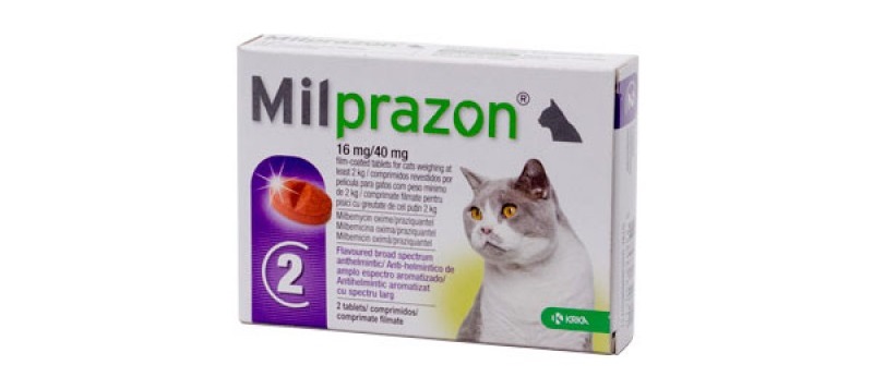 Cutie cu două tablete pentru deparazitare interna Milprazon, pentru pisici intre 2-8 kg pe fundal alb
