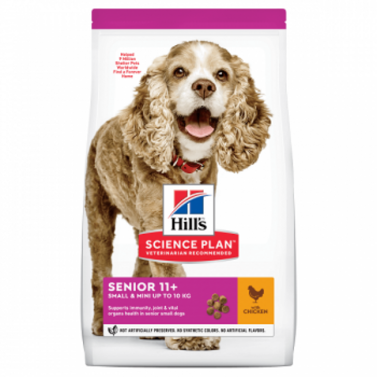 Hills vs. Royal Canin vs. Brit. Ce mâncare alegi pentru un câine senior
