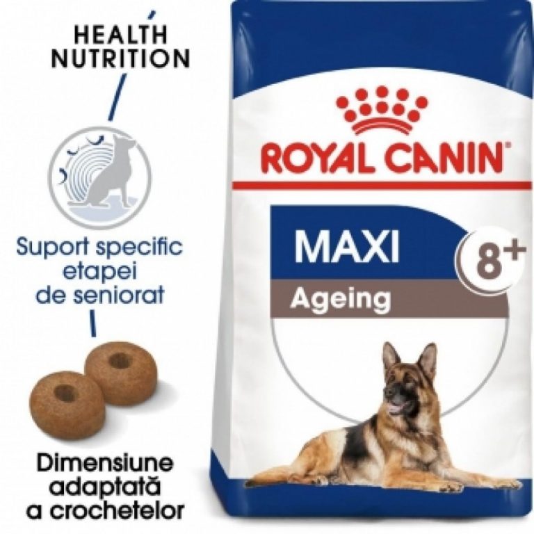 Hills vs. Royal Canin vs. Brit. Ce mâncare alegi pentru un câine senior