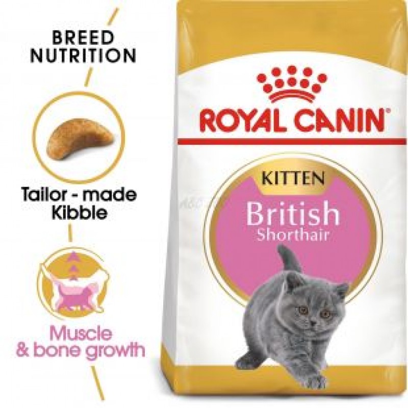 Punga cu Royal Canin British Shorthair Kitten pe fond alb
