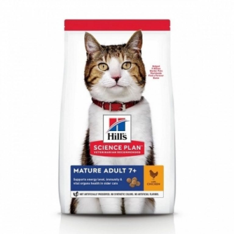 Hills vs. Royal Canin vs. Brit. Ce mâncare alegi pentru o pisică