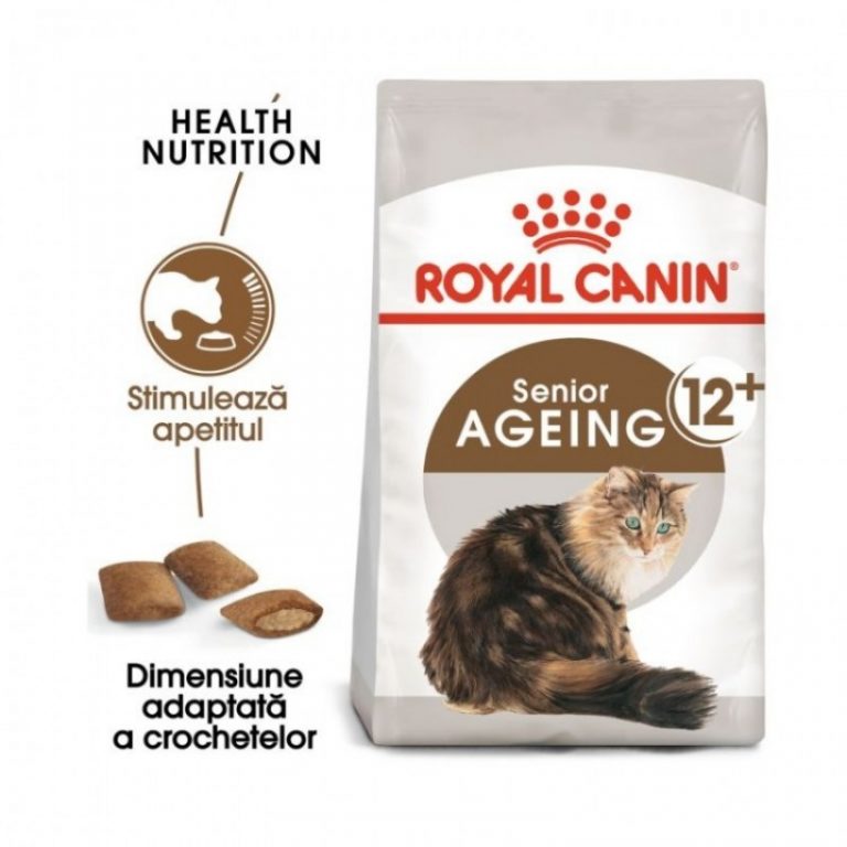 Hills vs. Royal Canin vs. Brit. Ce mâncare alegi pentru o pisică