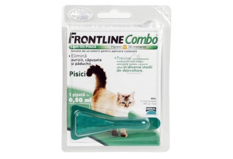 Cutie cu 1 pipeta Frontline Combo pentru pisici, pe fundal alb