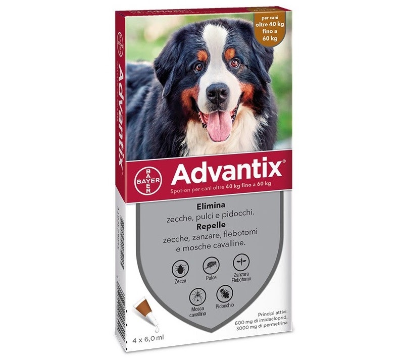 Cutie cu 4 pipete antiparazitare Advantix pentru câini de 40-60 kg