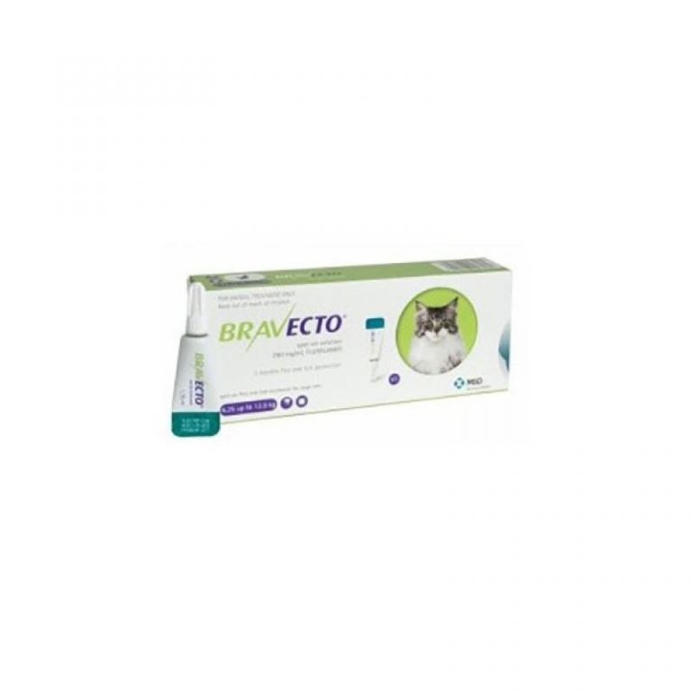 Bravecto vs. Frontline. Tratamente pentru purici și căpușe The