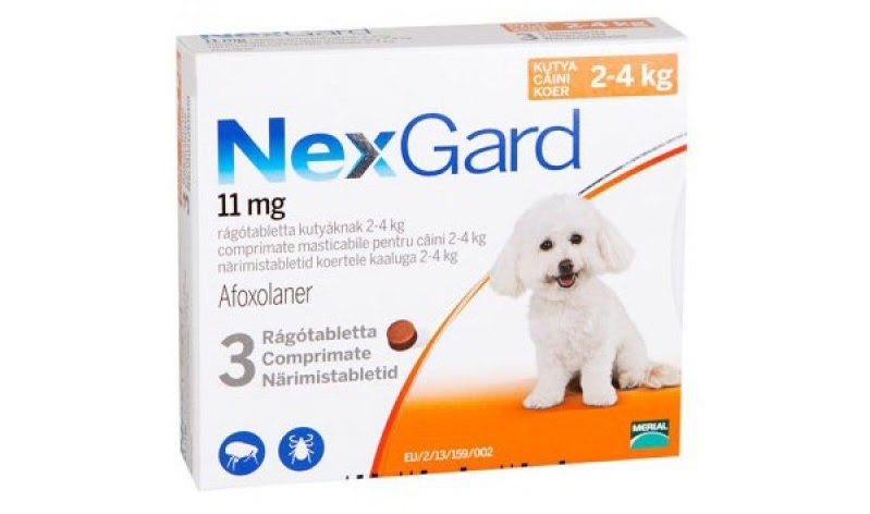 Cutie cu 3 comprimate masticabile antiparazitare Nexgard S pentru câini de 2 – 4 kg, pe fundal alb