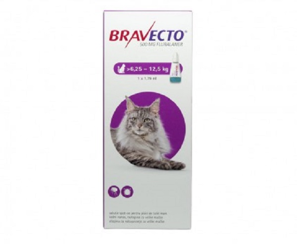 Cutie de Bravecto pentru deparazitarea externa a pisicii pe fond alb