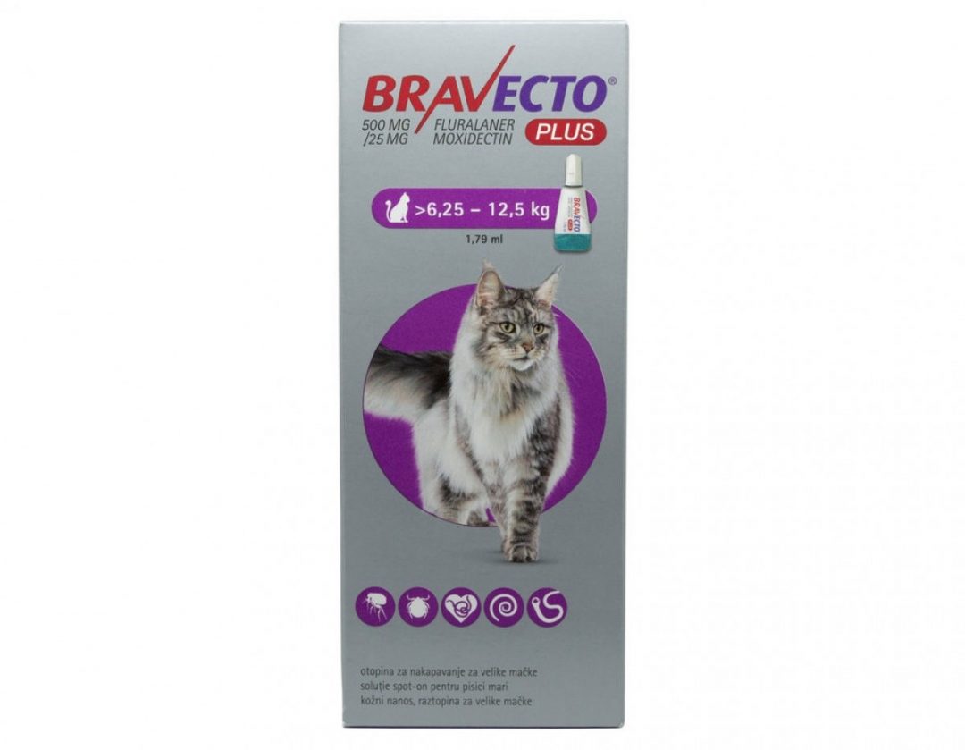 Pipeta Bravecto vs. tableta Credelio. Ce alegem pentru deparazitarea