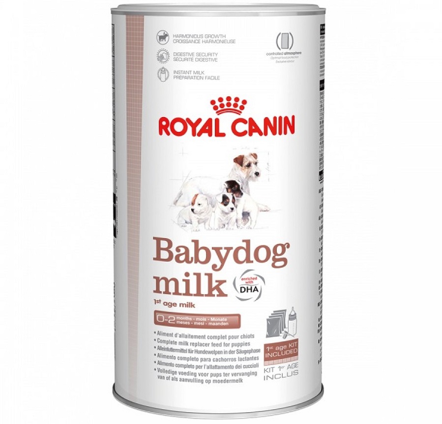 Cutie cu lapte praf Royal Canin pe fond alb