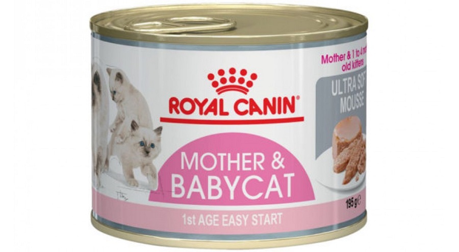 Conserva cu Royal Canin Mother & Babycat pe fond alb
