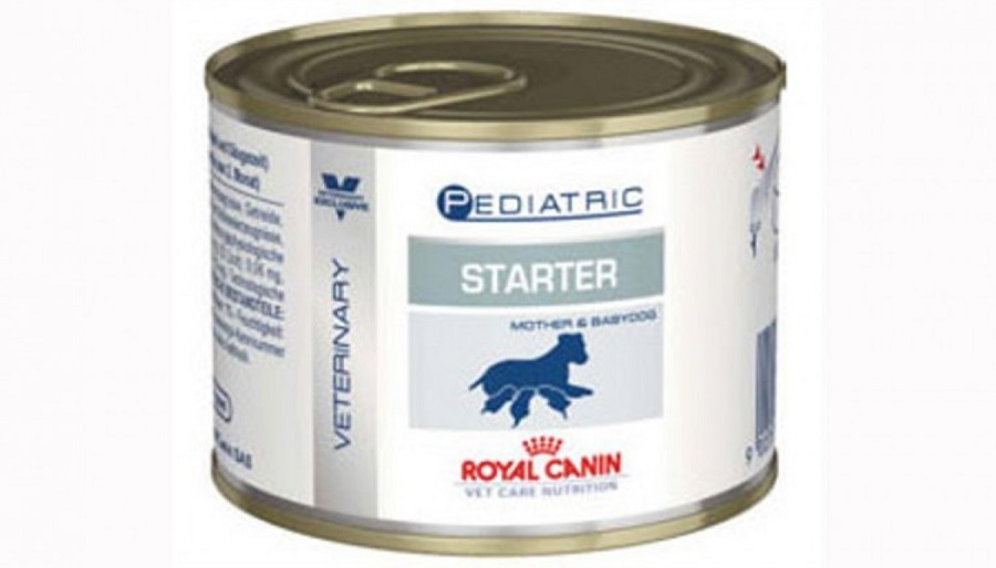 Conserva cu Royal Canin Starter Mousse pe fond alb