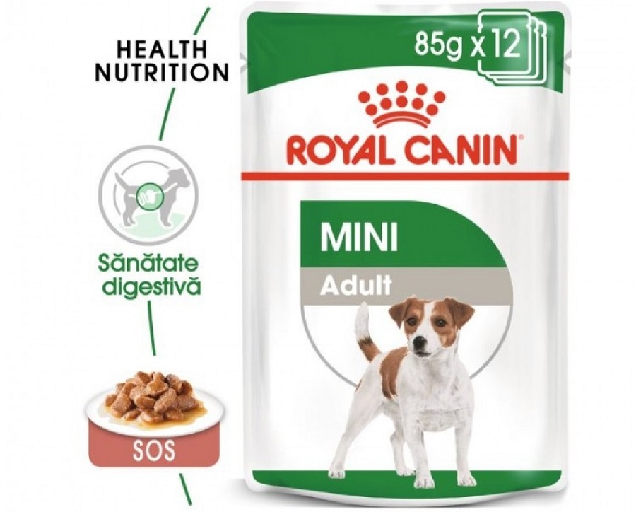 Plic cu hrana Royal Canin Mini Adult pe fond alb
