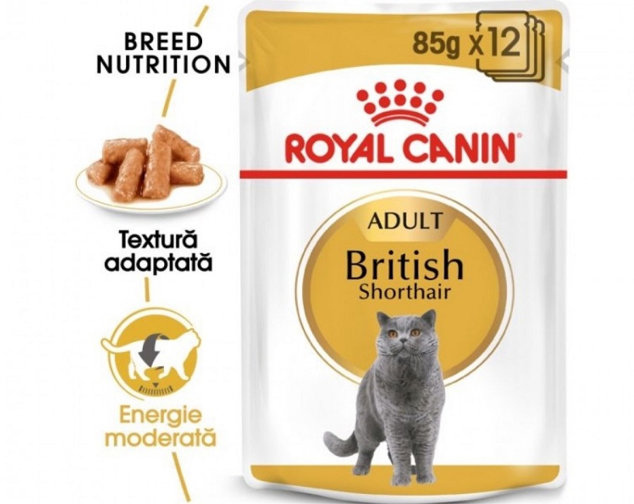 Plic cu hrana Royal Canin Breed British Shorthair pe fond alb