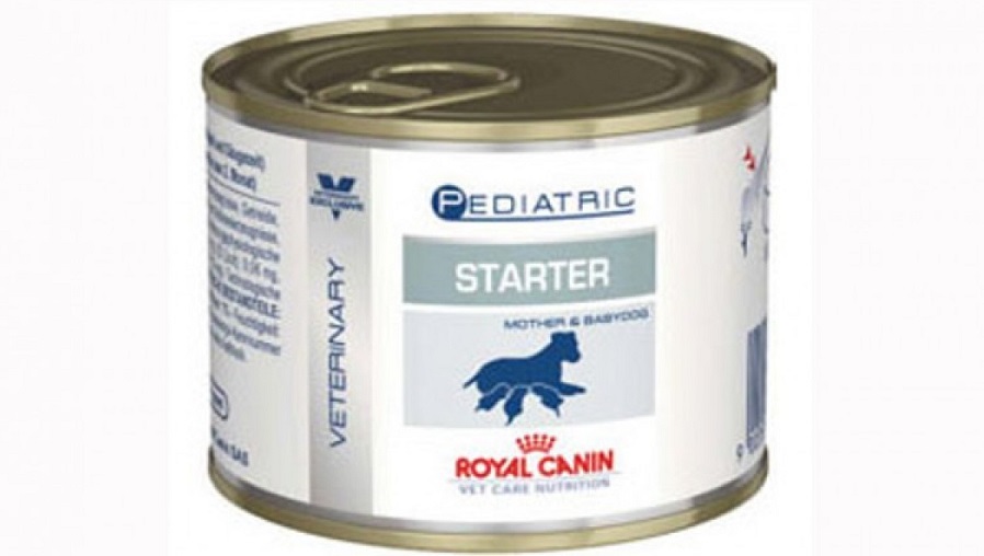 Conserva cu Royal Canin Pediatric Starter Dog Mousse pe fond alb