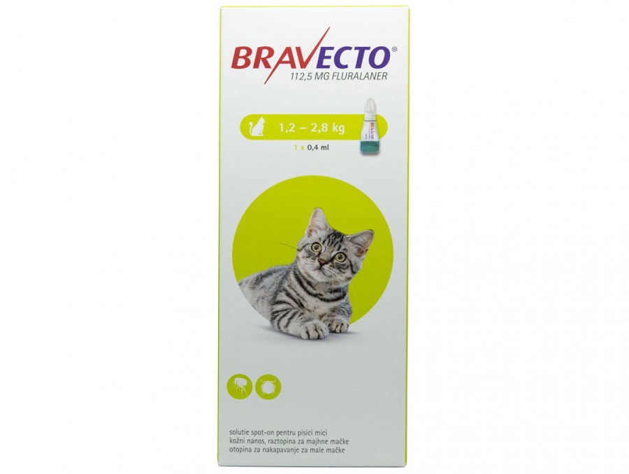Cutie cu pipeta antiparazitara Bravecto pentru pisici pe fond alb