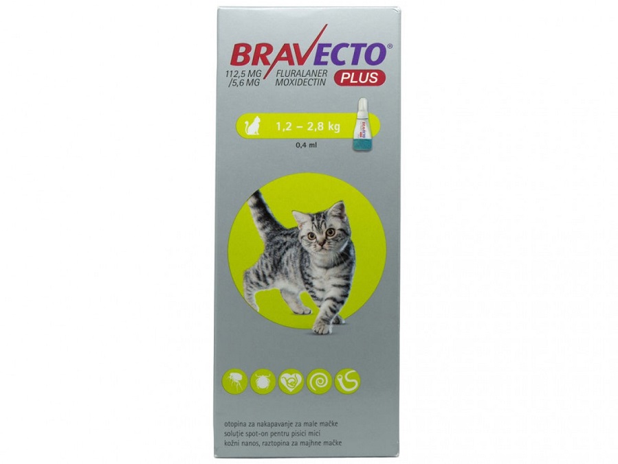 Cutie cu pipeta antiparazitara Bravecto Plus pentru pisici pe fond alb
