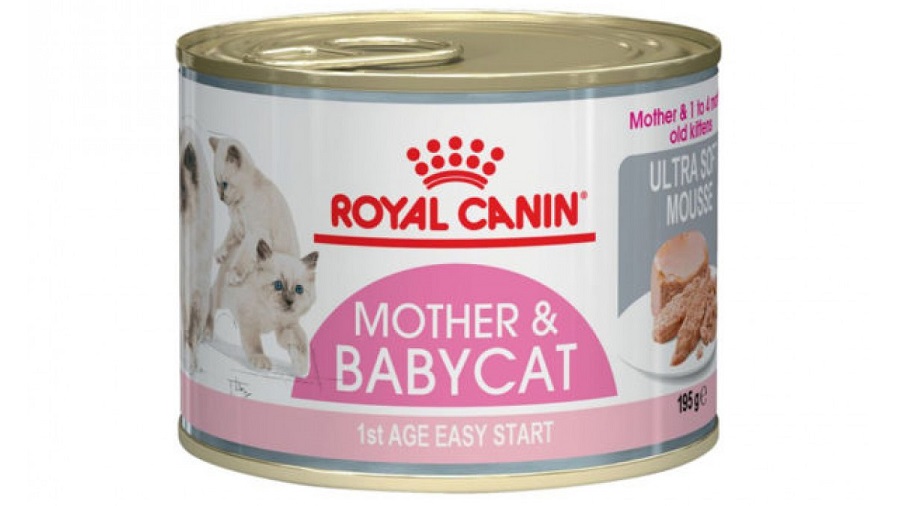Conserva cu hrana Royal Canin Mother & BabyCat pe fond alb
