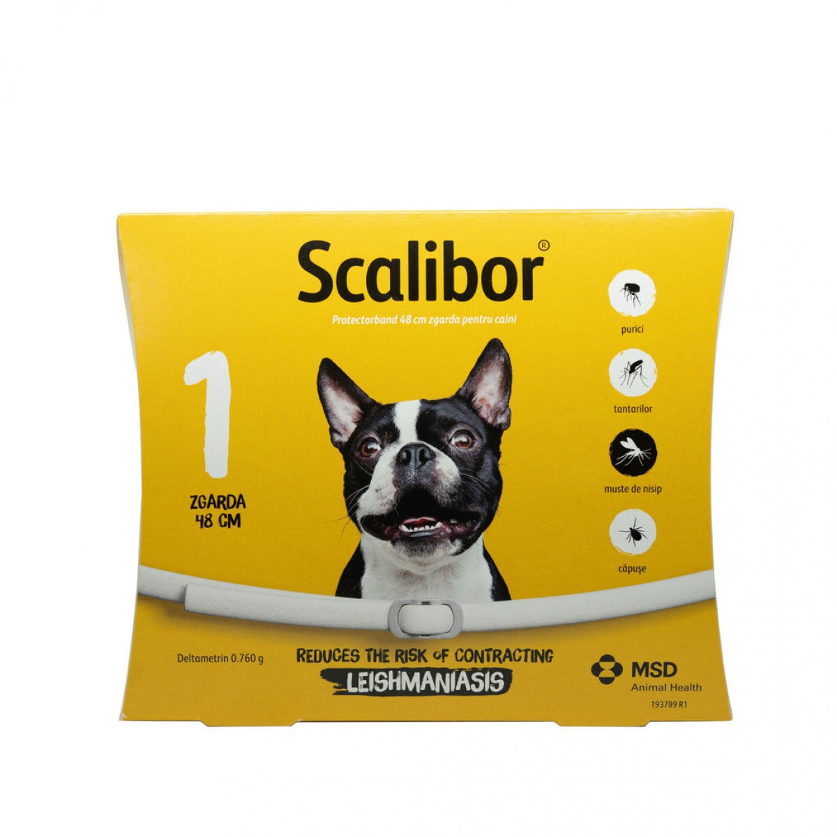 Zgardă antiparazitară Scalibor 48 cm, Antiparazitare externe, Antiparazitare, Câini 