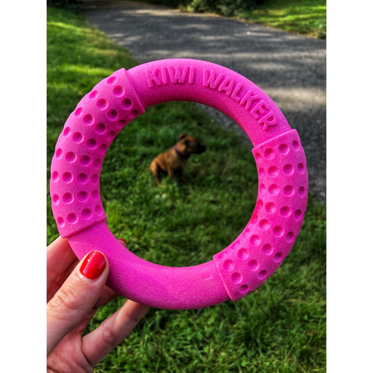 Jucărie Cerc Roz de la Kiwi Walker