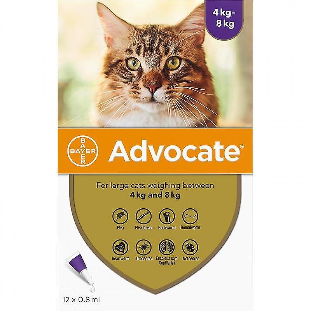 Advocate pentru pisici de 4 - 8kg, 3 pipete antiparazitare, Antiparazitare externe, Antiparazitare, Pisici 