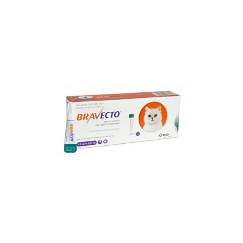 Pipetă antiparazitară Bravecto pentru pisici de 2.8 - 6.25kg