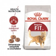 Hrană uscata Pisici Adulte Royal Canin FHN Fit32  400g