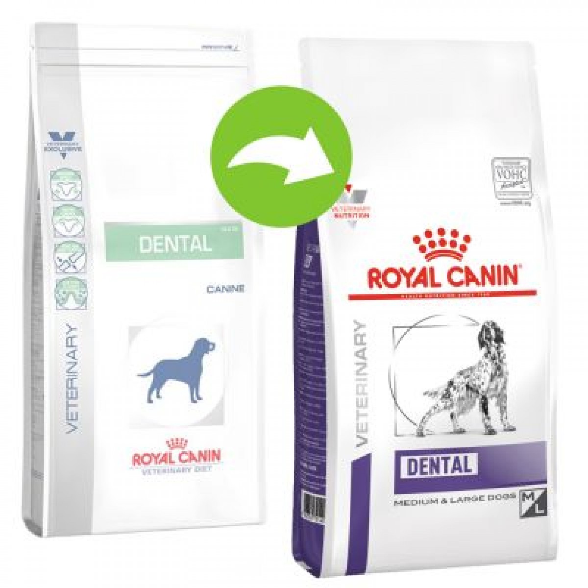 Dieta Royal Canin Dental Dog Dry 6kg