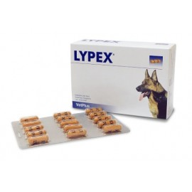 Supliment nutritiv pentru câini, Lypex  x 60 capsule