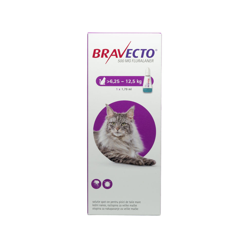 Pipetă antiparazitară Bravecto pentru pisici de 6.25 – 12.5kg MSD