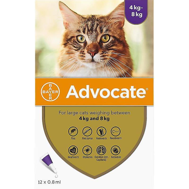 Pipetă antiparazitară Advocate pentru pisici de 4 – 8kg Bayer AH