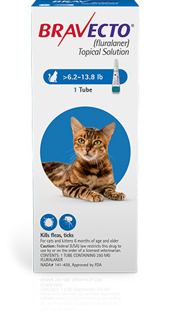 Pipetă antiparazitară Bravecto pentru pisici de 2.8 – 6.25kg MSD imagine 2022