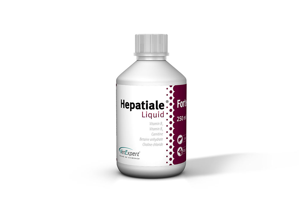 Supliment nutritiv Hepatial Liquid, pentru caini si pisici – 250 ml thepetclub