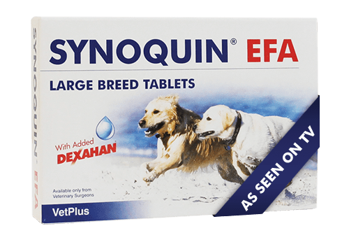 Supliment nutritiv pentru câini de talie mare, Synoquin EFA x 30 capsule thepetclub.ro imagine 2022
